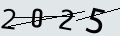 verifycode